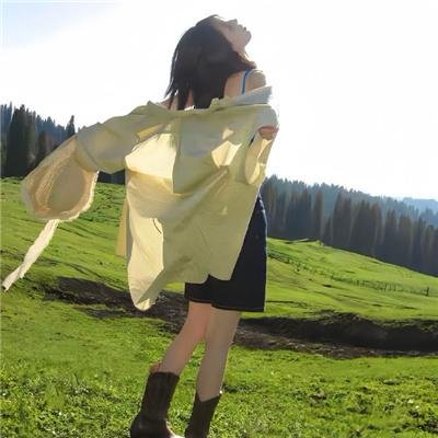137号案件 海报